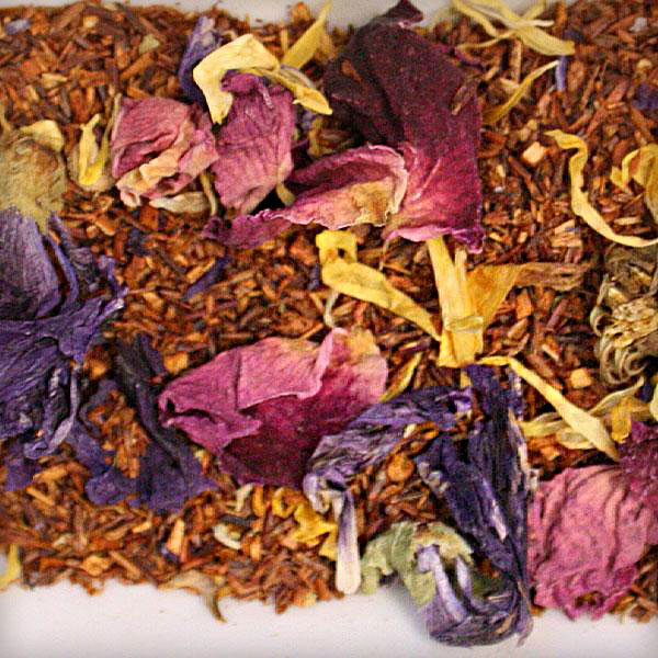 Rooibos Capetown herbal tea
